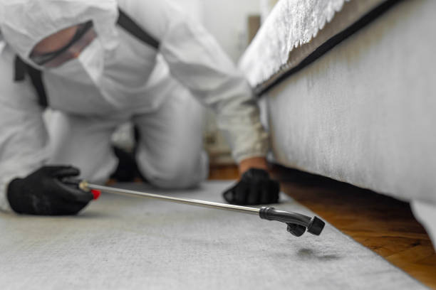 Professional Termite Control technician working in Herricks, NY