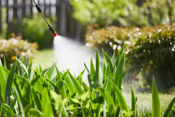 24/7 Emergency Termite Control experts in Herricks, NY